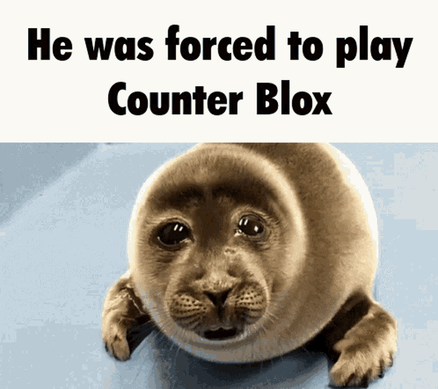 Counter Blox Csgo GIF - Counter Blox Csgo Cbro GIFs