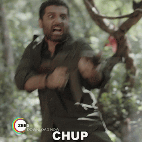 Chup Binu GIF - Chup Binu Shakti Anand GIFs