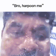 a pixelated image of a man 's face with the words " bro harpoon me " above him