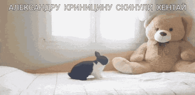 a teddy bear sits next to a rabbit on a bed