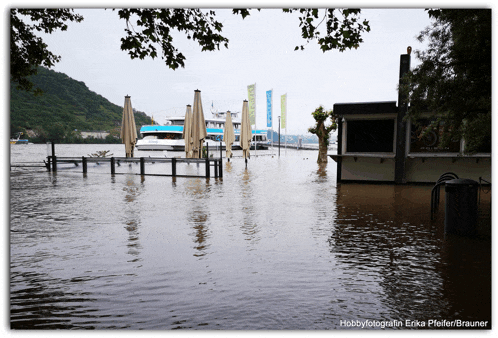 a photo of a flooded area taken by hobbyfotografin erika pfeffer brauner