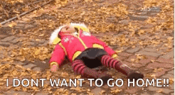 a little girl is laying on the ground with leaves and the words `` i dont want to go home '' .