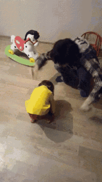 a child in a yellow shirt is playing with a rocking horse and a dog