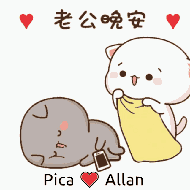 a cartoon of a cat holding a cell phone next to a cat laying on the ground with the words pica allan below it