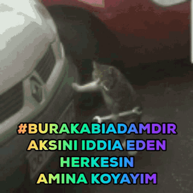a cat is playing with the wheel of a car with a caption that says #burakabiadamdir