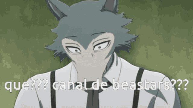 a cartoon of a wolf with the words que canal de beastars written below him