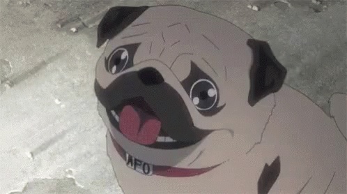 Pug Explosion GIF - Pug Explosion Anime GIFs