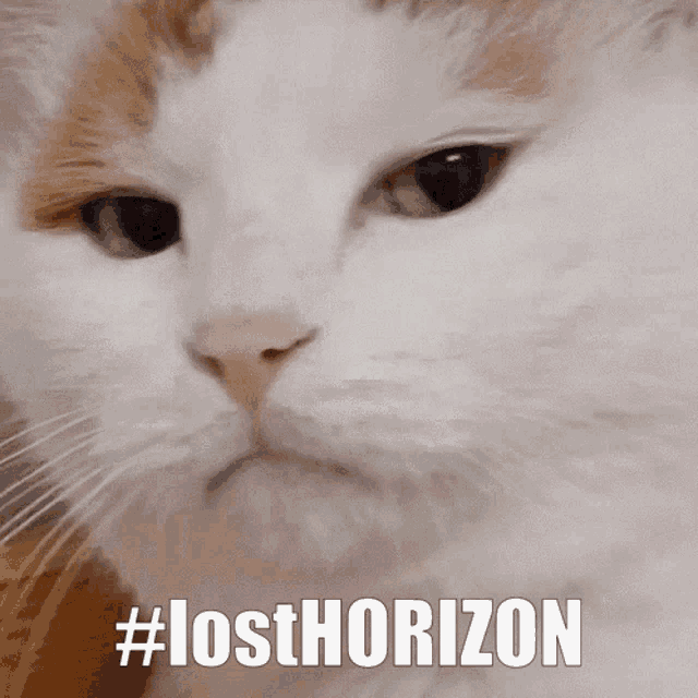 Horizon Lost GIF - Horizon Lost Lost Horizon GIFs