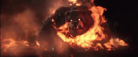 Fire Bear Only The Brave GIF - Fire Bear Only The Brave GIFs