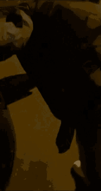 a person laying on the ground in the dark with a shadow on the ground