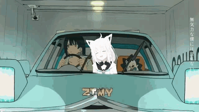 a cartoon drawing of a man driving a car with ztmy written on the front