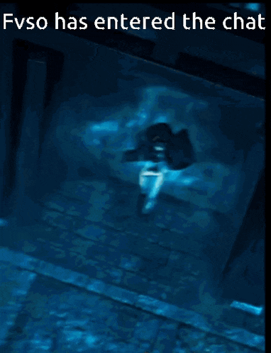 a picture of a person walking in the water with the words fvso has entered the chat below it