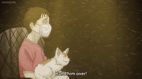 a man wearing a mask is holding a cat with the words hand him over below him