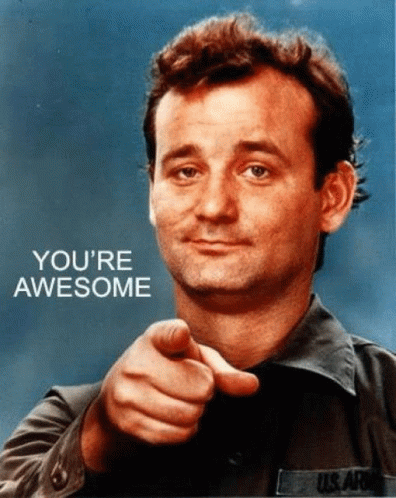 You Are Awesome Pointing GIF - You Are Awesome Pointing You GIFs