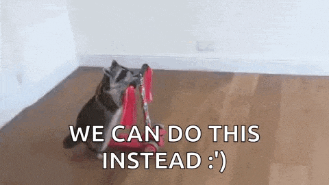 a raccoon is playing with a toy trolley on the floor .