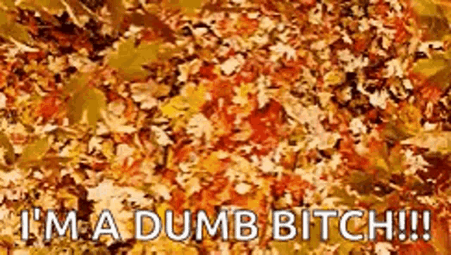 Autumn Dumb Bitch GIF - Autumn Dumb Bitch Laughing GIFs