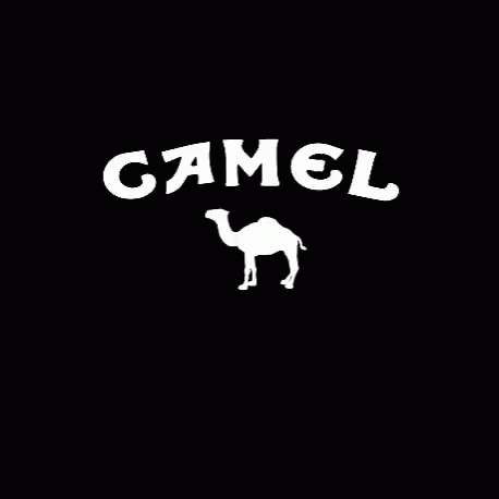 Cigarette Camel GIF