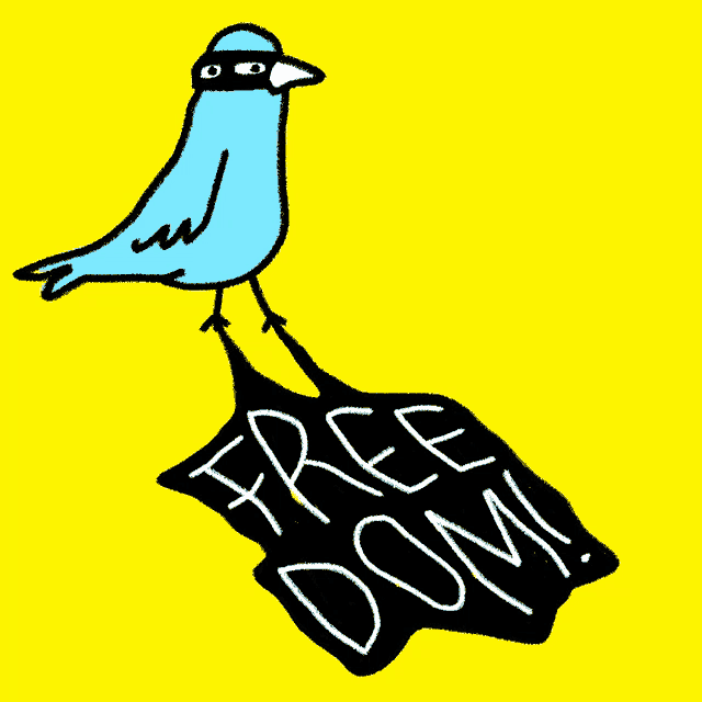 a blue bird is standing on a black sign that says free dom