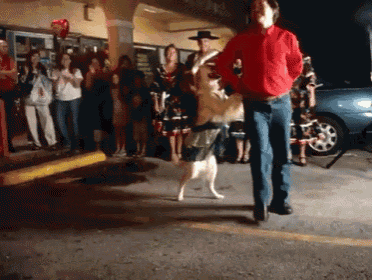 a man in a red shirt is standing next to a dog