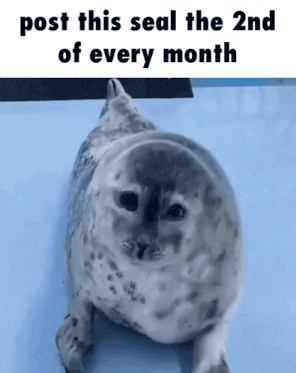 a seal is laying on a blue surface with the caption post this seal the 2nd of every month