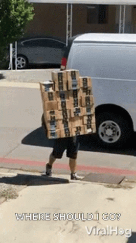 Carrying Boxes GIF