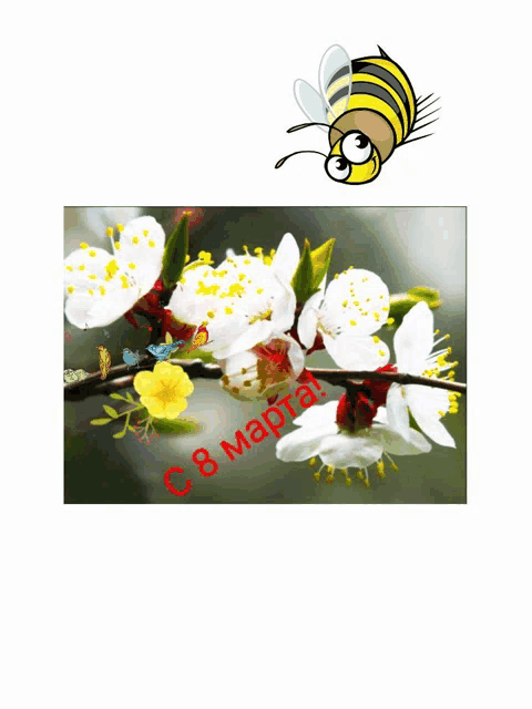a bee is flying over a branch of flowers with the date 8 march
