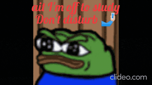 a cartoon of a frog with the words " all i 'm off to study don 't disturb " on it