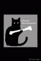 Humerus Cat GIF - Humerus Cat GIFs