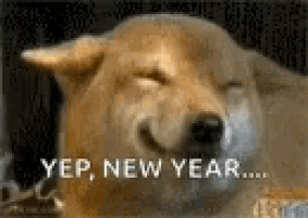 a dog is smiling and saying `` yep , new year '' .