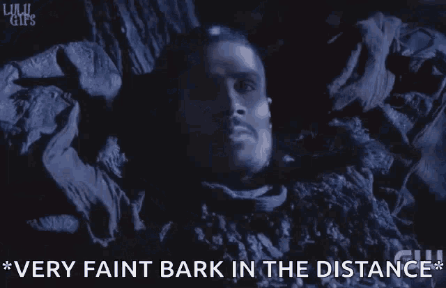 a woman is laying in the snow with the words `` very faint bark in the distance '' written next to her .