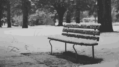 a black and white photo of a bench covered in snow in a park .