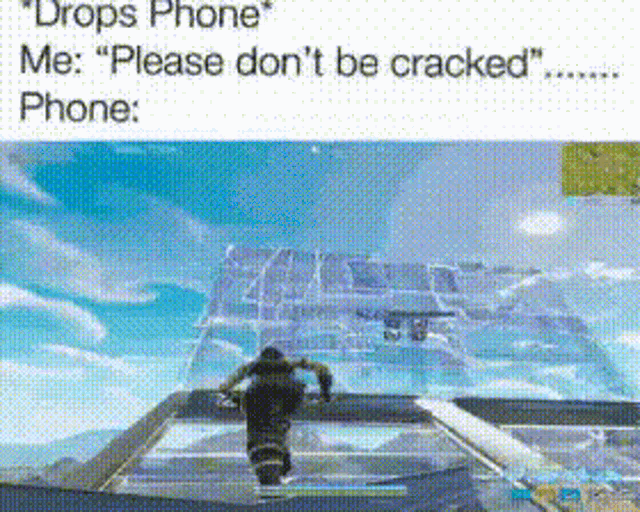 a screenshot of a video game that says drops phone me please don t be cracked phone