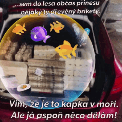 a picture of fish in a bubble with the words vim ze je to kapka v mori ale ja aspon neco delam