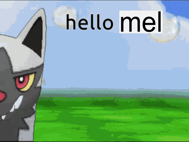 a picture of a cat with the words hello me on it