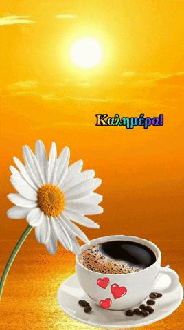 a cup of coffee sits on a saucer next to a daisy and the words " kalampai "
