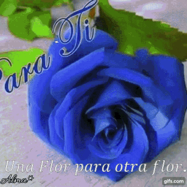 Flor Para Ti GIF - Flor Para Ti Una Flor Para Otra Flor GIFs