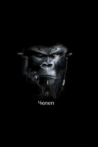 a gorilla wearing headphones and a ring on its finger with the word chonen written below it
