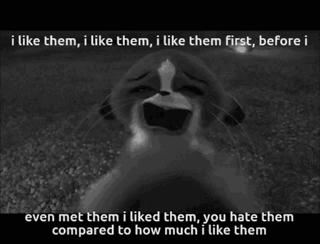 a black and white photo of a meerkat with a caption that says i like them i like them i like them first before