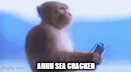 a monkey is holding a remote control and saying ahhh sea cracker