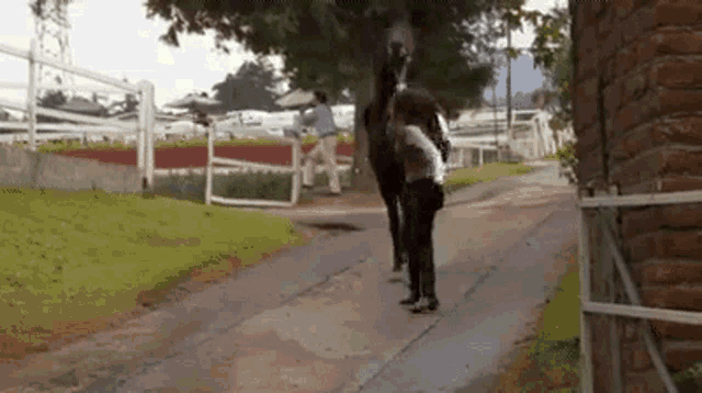 a woman is standing next to a horse on the side of a road .