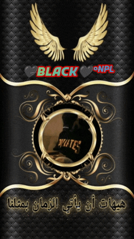 a black background with gold wings and the word black