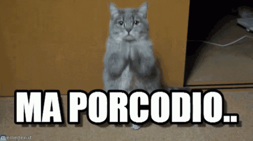 a cat with its paws folded in front of a sign that says ma porcodio