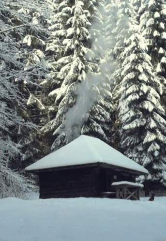 Nature Cabin GIF - Nature Cabin Winter GIFs