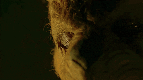 a close up of a person 's hand with a fireplace in the background