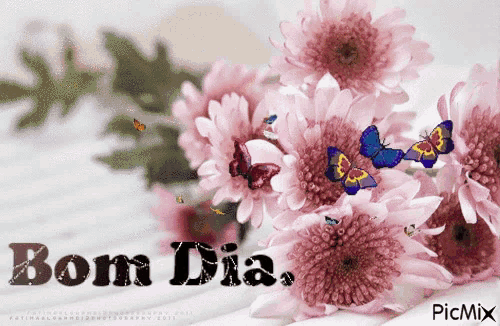 a bunch of pink flowers with the words bom dia written on it