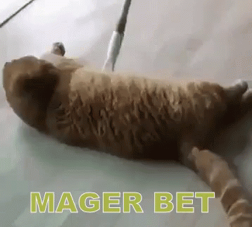 Mager Bet Dah Tiap Hari GIF - Kucing Gendut Kucing Males Lazy Cat GIFs
