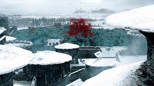 Winterfell Godswood GIF - Winterfell Godswood Game Of Thrones GIFs