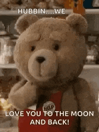 a teddy bear is standing in front of a shelf and says `` love you to the moon and back '' .
