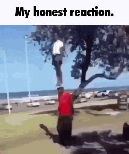 My Honest Reaction Walk GIF - My Honest Reaction Walk Stand GIFs