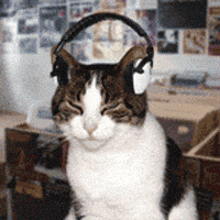 a brown and white cat wearing headphones on its ears